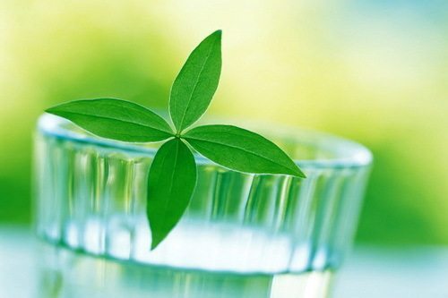 柔软的心疼 第1张