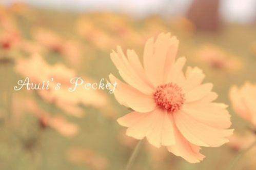 幼儿园小班工作计划 第1张 幼儿园小班工作计划 第1张