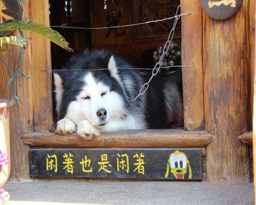 美丽的身影 第1张