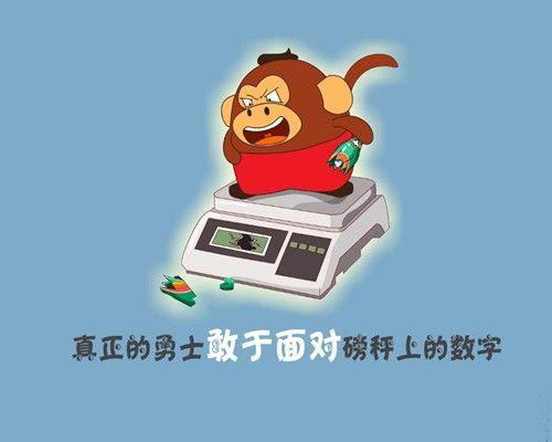 若无相欠，怎会遇见 第1张