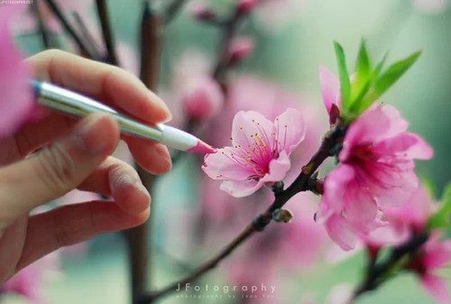 扭秧歌作文 第1张