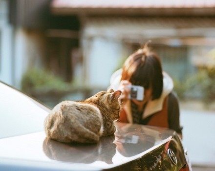 关于经验、心得、总结的谚语、民谚 第1张