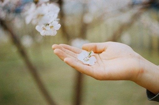 《一切都是最好的安排》：这是一本“心灵鱼汤 第1张