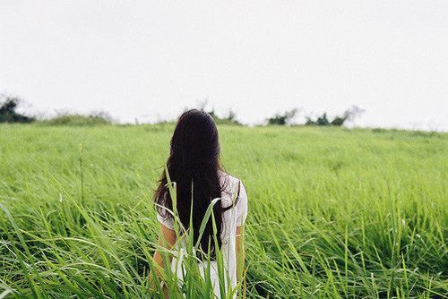 圆明园的毁灭读后感 第1张