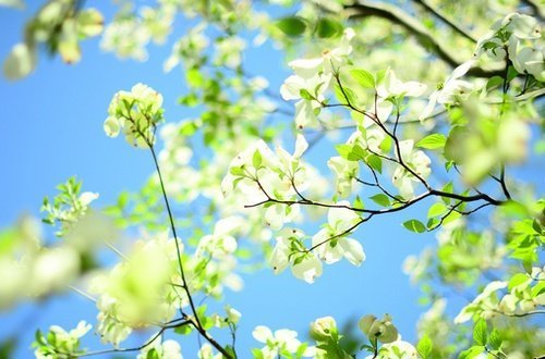 果然暖阳 第1张