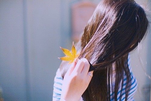 叶儿 - 诗歌 第1张