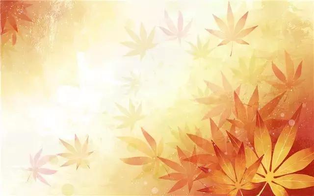 奋飞 第1张