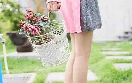 青春流年 第1张