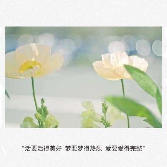 去村口玩迷路回不了家 爷爷把我送回来来了 原来他已经去世三年 第1张
