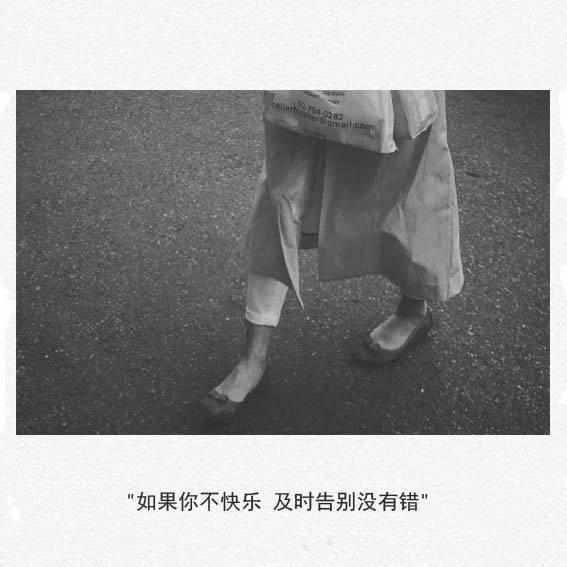 描写鸟的诗句、诗词名句 第1张