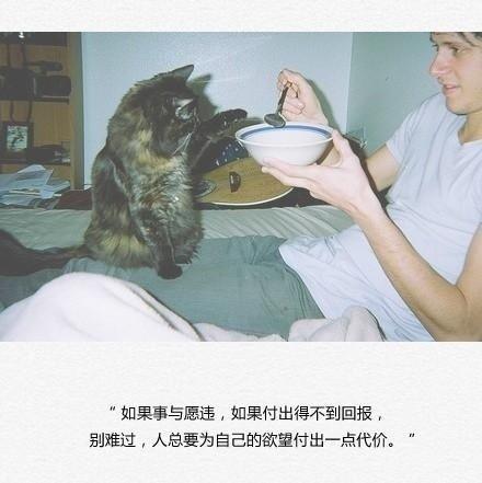 此后，与寂寞为伍 第1张