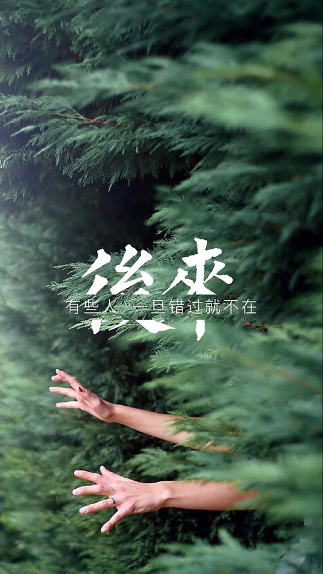 写景的作文300字 第1张