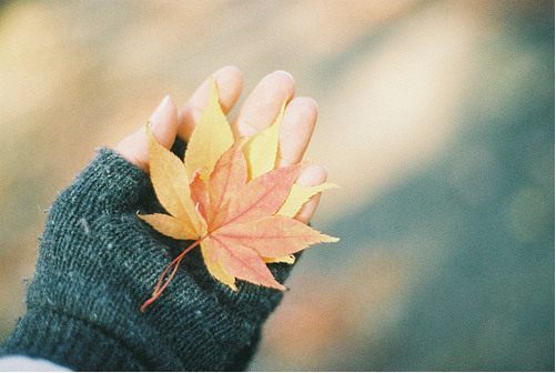 人人都有大学梦 第1张