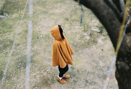 小人国观后感 第1张