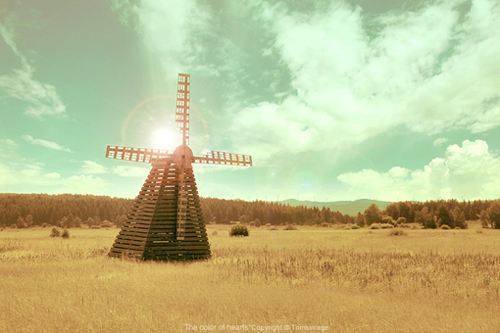 小学语文评课稿万能 第1张