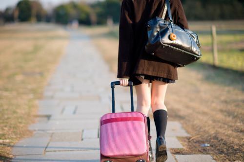 幼儿园园务计划 第1张 幼儿园园务计划 第1张