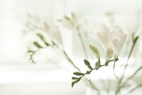 超级礼物观后感 第1张