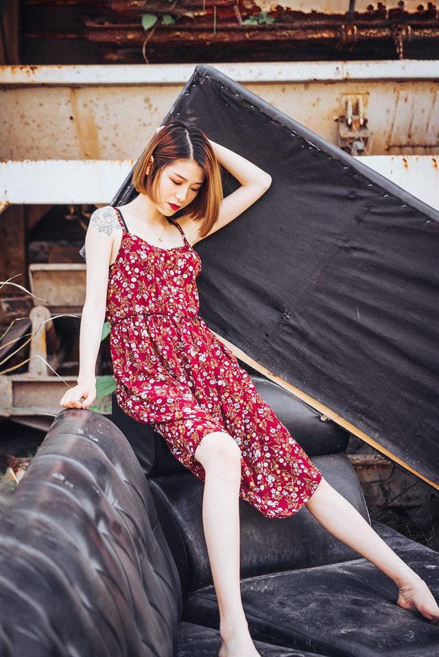 小乌龟之生 第1张