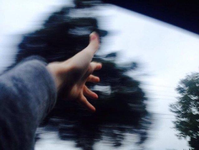唐代诗僧僧皎然五言律诗《寻陆鸿渐不遇》赏析 第1张