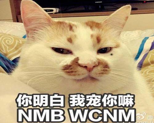 长征小故事 第1张