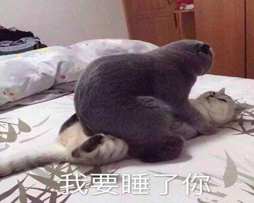 除夕之夜 第1张