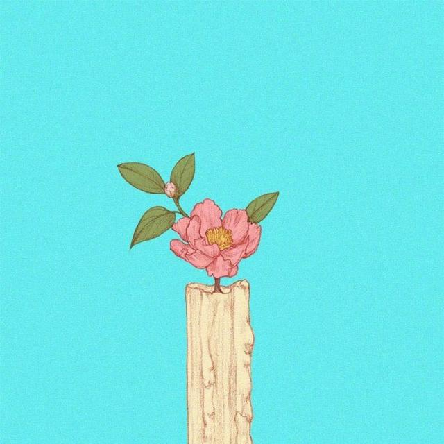 白头归来 - 诗词 第1张