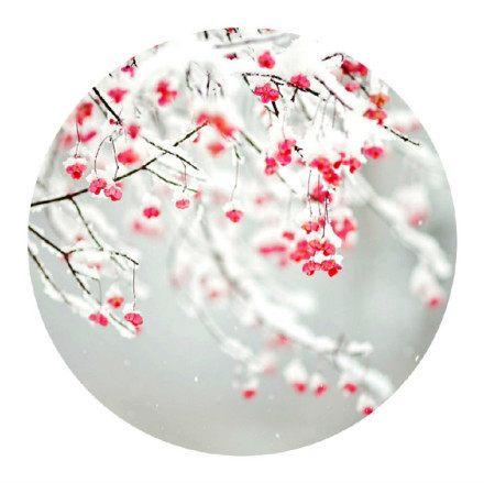 唠叨的妈妈 第1张