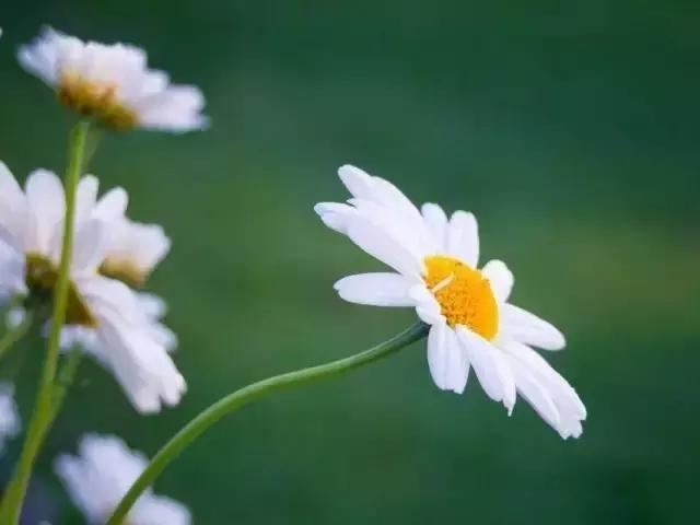 激励成功的经典励志座右铭 第1张