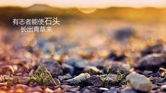 小学二年级班主任工作计划 第1张 小学二年级班主任工作计划 第1张