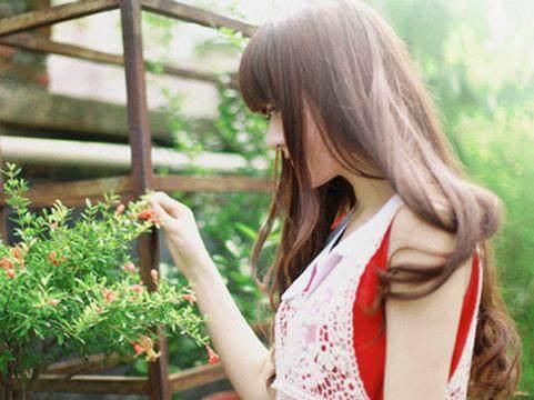 村党支部工作计划 第1张