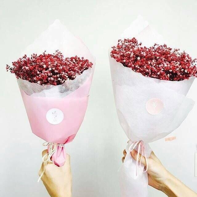 沈从文的动人情话 第1张