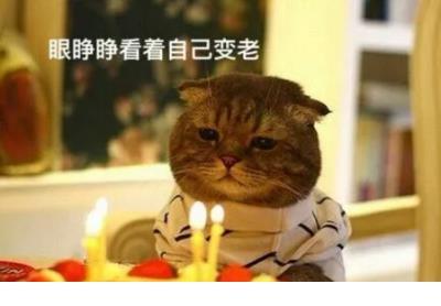 我的爸爸作文300字 第1张