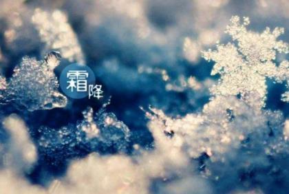 动物歇后语大全之关于麻雀的歇后语 第1张