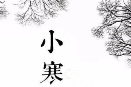 青春四季 梦幻般美好向往 第1张