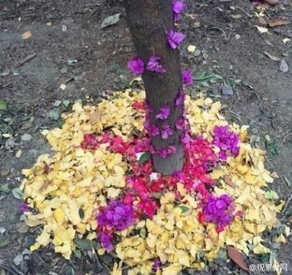 三年级英语教学计划 第1张