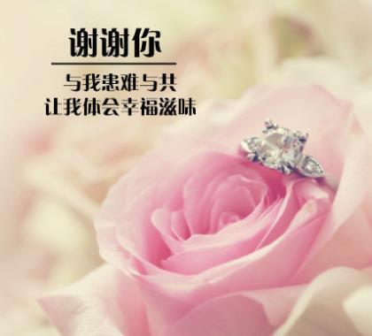 幽默胖子的伤心事 第1张