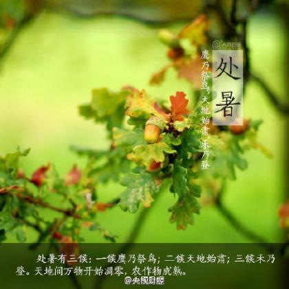 经典结婚对联、新婚对联、婚庆对联 第1张