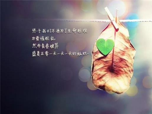 关于贪婪、贪心、利欲熏心的谚语、民谚 第1张