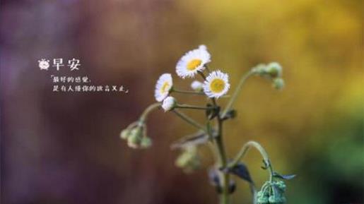 感恩一句话 第1张