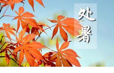 总有一种期待 第1张