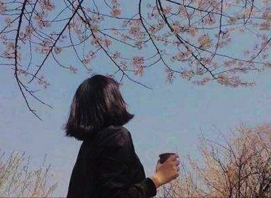 你见过这样报仇的吗？ 第1张
