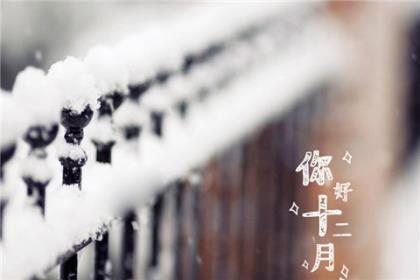 去年圣诞 - 诗歌 第1张