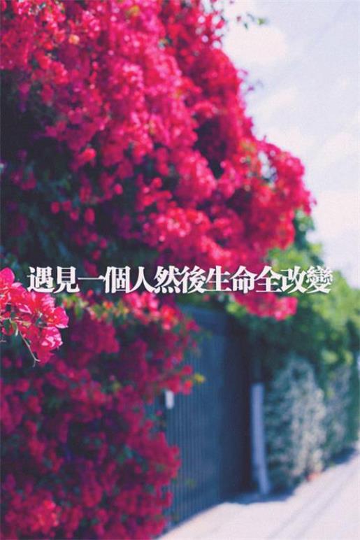感人的电影台词 第1张