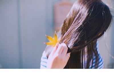 网络日志：虚拟的网络,真实的自我 第1张