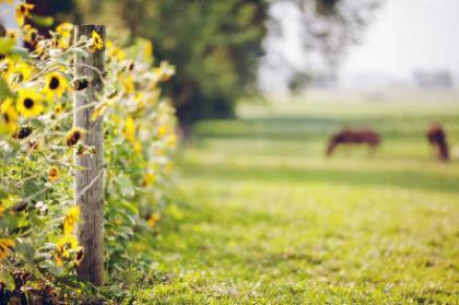 为加密的空间鼓掌 第1张