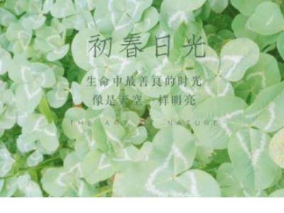 唐代诗人马戴五言律诗《灞上秋居》赏析 第1张