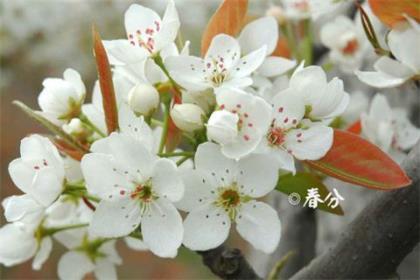 “一次做对”的质量座右铭 第1张