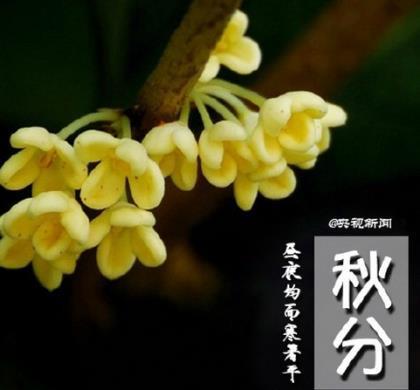 郭德纲相声台词 第1张
