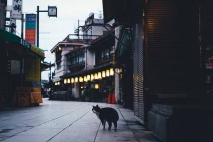 跨一步就成功读后感 第1张
