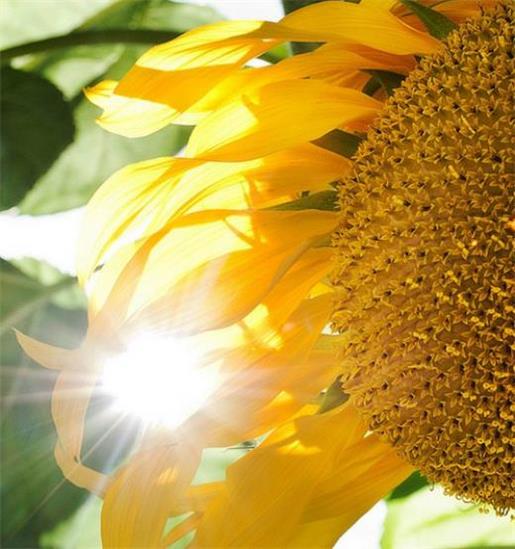 钱学森观后感 第1张